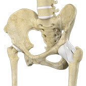 Hip Ligament Injuries